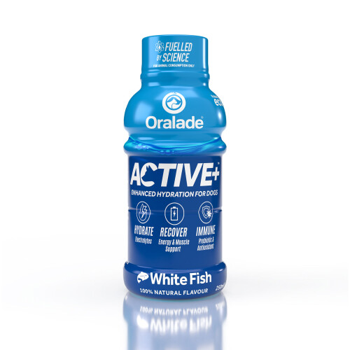 Oralade Active Fish 250ml x 6