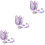 3Ensembles Laisse Poignet Anti- Harnais Violet 5