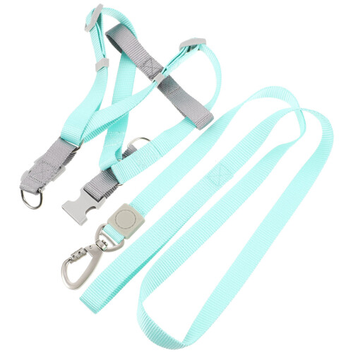 3Ensembles Laisse Pour Vert Ajustable En Polyester 1