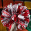 48Pièces Pom Poms Cheering Colorés Éclatants Animation 10