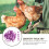 100Pièces Anneaux Numérotés Pattes Poulet Violet Durable 6