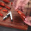 Shrimp Tail Peeler Efficient Shelling Device for Quick and Safe Seafood Preparation 4