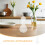 4Pcs Glass Whiskey Decanter Set Transparent for Storage 8