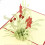 6Pcs Multi Color Up Greeting Cards Handmade for 11