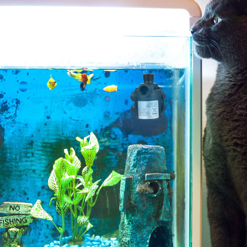 2Pièces Submersible Silencieuse Dc Pour Aquarium, Noir Durable 2