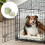 3Pièces Distributeur Automatique Petits Animaux Durable 9