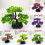 2Pcs Artificial Bonsai Tree for Plastic Decoration 7