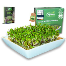 Green SEEDS Cress Sieve Set of 1 Cress Bowl Stainless Steel Sieve with High-Quality Ceramic Bowl Propagation Tray 14 x 14 cm Dishwasher Safe and