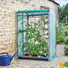 Tomato GroZone Max Mini Greenhouse with Steel Frame, PE Cover, Vent & Cane Holes, Zip Up Front & Back Panels ? Grow & Protect Tomatoes, Cucumbers,