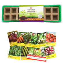 16 Cell Windowsill Greenhouse Propagator with Veg Seeds Plastic Trays with Clear Plastic Lid Deep Tray for Sowing Seeds Easy Watering 3 x 16 Cell