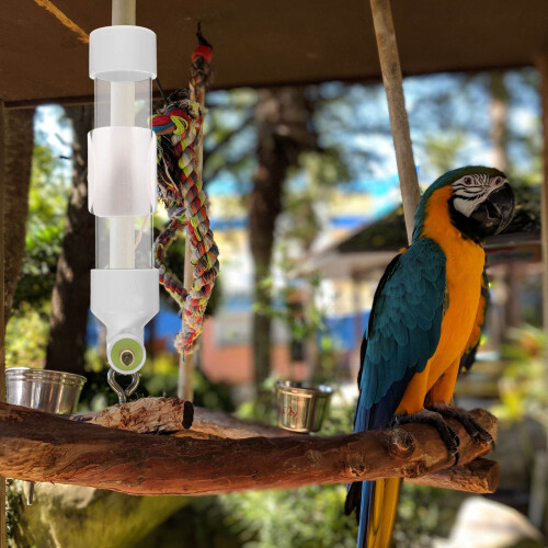 4St Vogel Drinkbak Plastic Papegaaien En Duiven 2