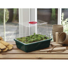 2X Half-Size High-Dome Propagator - Green