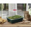 2X Half-Size High-Dome Propagator - Green 1