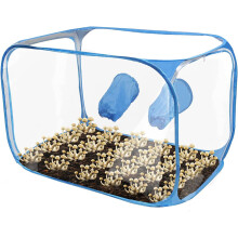 CuteHairy Still Air Box,Portable Mushroom Grow Tent,Compact Pop Up Mushroom Container for Spores Mycology Horticulture,35.8x23.2x22.8inch Blue