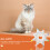 Collier Anti-Léchage Chat En Polyester Protection 3
