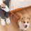 LED Automatic Retractable Dog Leash with RGB Touch Light, Ergonomic Handle 10
