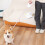 LED Automatic Retractable Dog Leash with RGB Touch Light, Ergonomic Handle 13
