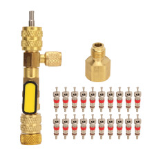 Outil d'installation de noyau de valve compatible R22R410A avec conception à ressort et ports SAE de double taille, idéal pour l'entretien des