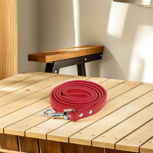 2Pièces Laisse PU Usage 2