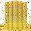 Conjunto de 5 Lançadores de Confete Dourado de 30 cm (12 polegadas) 2