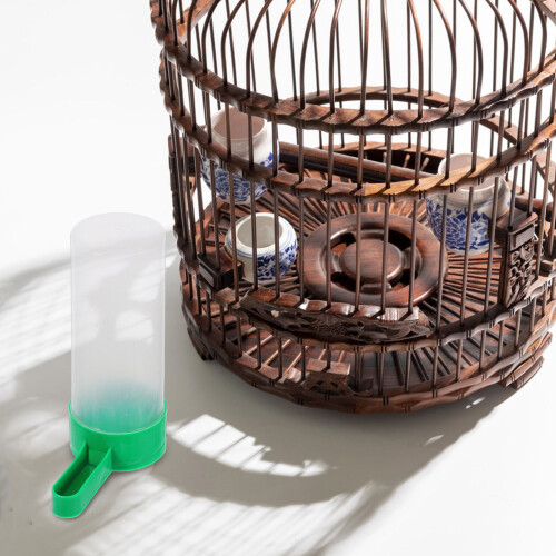 30Pièces Distributeur Perroquet Vert Installation Simple 2