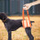 Orthopédique Orange Résistant Confortable 8