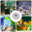 Transparant Sponsfilter Vissenbak, Plastic Waterzuivering 4