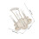 -Gobelets Beige En PP Multifonction Pour Cuisine Élégante 2