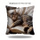 Μαξιλαροθήκη Sleeping Cats - Κοντό πέλος, μαλακό βελούδινο κάλυμμα μαξιλαριού με άνετο 3