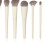 10 pcs Synthetic Makeup Brushes Kit Portable Multi-Use Compact Professional 6