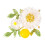Broche marguerite en perle, alliage vert – 4,6 cm 5