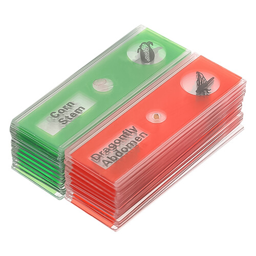 48Pièces Lames Microscope Plastique Durable Couleurs Variées 1