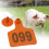 200Pièces Plaques Orange Pour Chèvres Porcs, Design Sûr 9