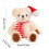 Urso de pelúcia natalino com gorro de Papai Noel 2