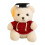 Graduation Bear Doll Soft Plush Doctoral Gown 23cm 2