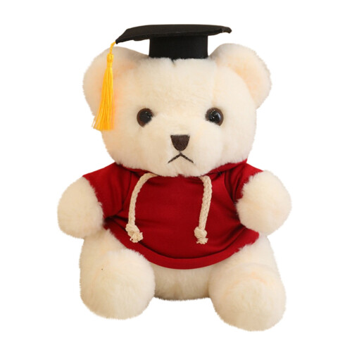 Graduation Bear Doll Soft Plush Doctoral Gown 23cm 1