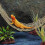 Lizard Sleep Bed for Bearded Dragon and Reptiles 5