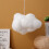 LED pendant lamp elegant ceiling light 1 pack 4