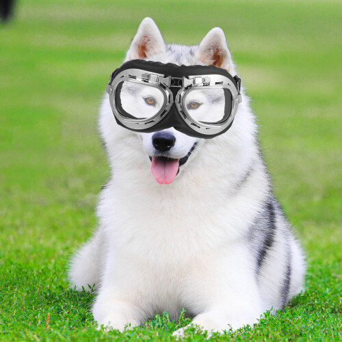 2Pièces Lunettes Pour Animaux Accessoires Amusants Durable 2