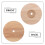 2Pcs Wooden Lamp Base with Universal E27 E14 Socket Creative Design for DIY Lamp Projects 3