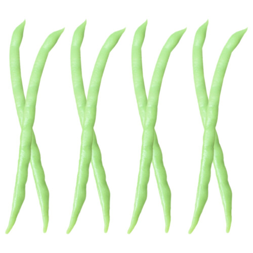 24 Pcs Simulation Bean Models Vegetable Props 1