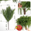 Norfolk dennentakken 50 cm 2-pack 2