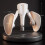 Adjustable Resistance Pelvic Floor Leg Trainer Grey 5