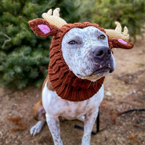 Scaldacollo per cani, protezione per le orecchie e scaldacollo, ideale per l'inverno, Natale e Capodanno. 2
