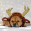 Scaldacollo per cani, protezione per le orecchie e scaldacollo, ideale per l'inverno, Natale e Capodanno. 6