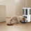3L Automatisk Kattedispenser Smart Katte- og Hundefoderautomat Enkelt Rustfrit Stål Skåle Kæledyr Fodring til Tørfoder 6