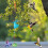 Hummingbird Feeder with Wind Chime Animal Shape Sunlight 3