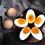 Non-stick Egg Boiler & Poacher Cup Set – Efficient, Durable, for Poached/Hard-Boiled Eggs, 1pc 3