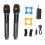2pcs Wireless Microphone Set, 50-100m Range, LED Display, Grey 2