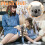 Koala Plush Toy Stuffed Animal Doll 1 Piece 5